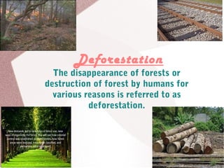 Deforestation
The disappearance of forests or
destruction of forest by humans for
various reasons is referred to as
deforestation.
 