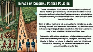 ddeidnoi3neiodn3ied3eFOREST SOCIETY AND COLONALISM (8-14).pdf