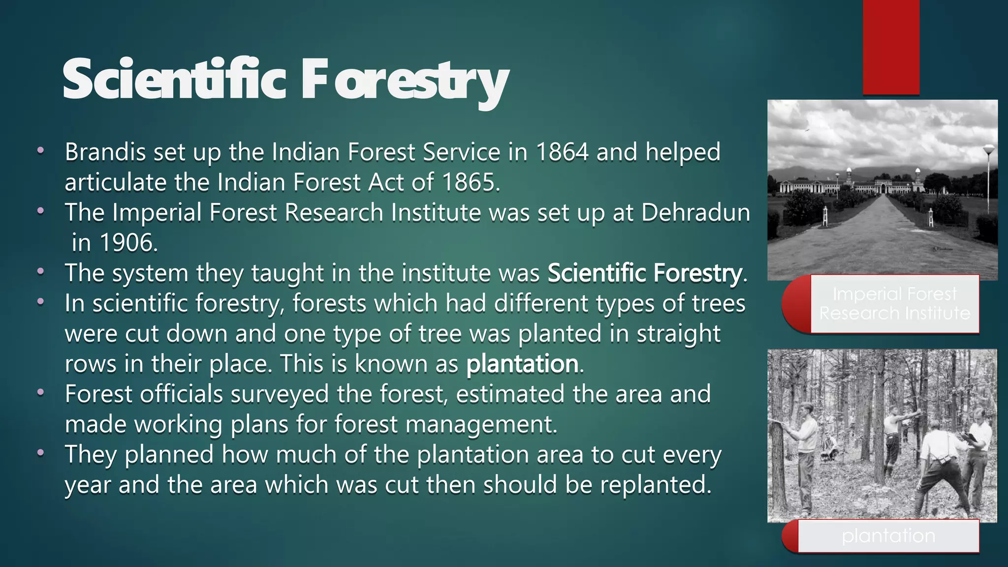 Scientific Forestry
Imperial Forest
Research Institute
Imperial Forest
Research Institute
plantation
plantation
• Brandis set up the Indian Forest Service in 1864 and helped
articulate the Indian Forest Act of 1865.
• The Imperial Forest Research Institute was set up at Dehradun
in 1906.
• The system they taught in the institute was Scientific Forestry.
• In scientific forestry, forests which had different types of trees
were cut down and one type of tree was planted in straight
rows in their place. This is known as plantation.
• Forest officials surveyed the forest, estimated the area and
made working plans for forest management.
• They planned how much of the plantation area to cut every
year and the area which was cut then should be replanted.
• Brandis set up the Indian Forest Service in 1864 and helped
articulate the Indian Forest Act of 1865.
• The Imperial Forest Research Institute was set up at Dehradun
in 1906.
• The system they taught in the institute was Scientific Forestry.
• In scientific forestry, forests which had different types of trees
were cut down and one type of tree was planted in straight
rows in their place. This is known as plantation.
• Forest officials surveyed the forest, estimated the area and
made working plans for forest management.
• They planned how much of the plantation area to cut every
year and the area which was cut then should be replanted.
 