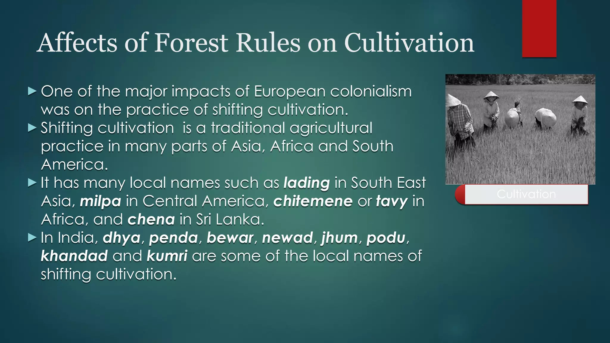 Affects of Forest Rules on Cultivation
Cultivation
Cultivation
► One of the major impacts of European colonialism
was on the practice of shifting cultivation.
► Shifting cultivation is a traditional agricultural
practice in many parts of Asia, Africa and South
America.
► It has many local names such as lading in South East
Asia, milpa in Central America, chitemene or tavy in
Africa, and chena in Sri Lanka.
► In India, dhya, penda, bewar, newad, jhum, podu,
khandad and kumri are some of the local names of
shifting cultivation.
► One of the major impacts of European colonialism
was on the practice of shifting cultivation.
► Shifting cultivation is a traditional agricultural
practice in many parts of Asia, Africa and South
America.
► It has many local names such as lading in South East
Asia, milpa in Central America, chitemene or tavy in
Africa, and chena in Sri Lanka.
► In India, dhya, penda, bewar, newad, jhum, podu,
khandad and kumri are some of the local names of
shifting cultivation.
 