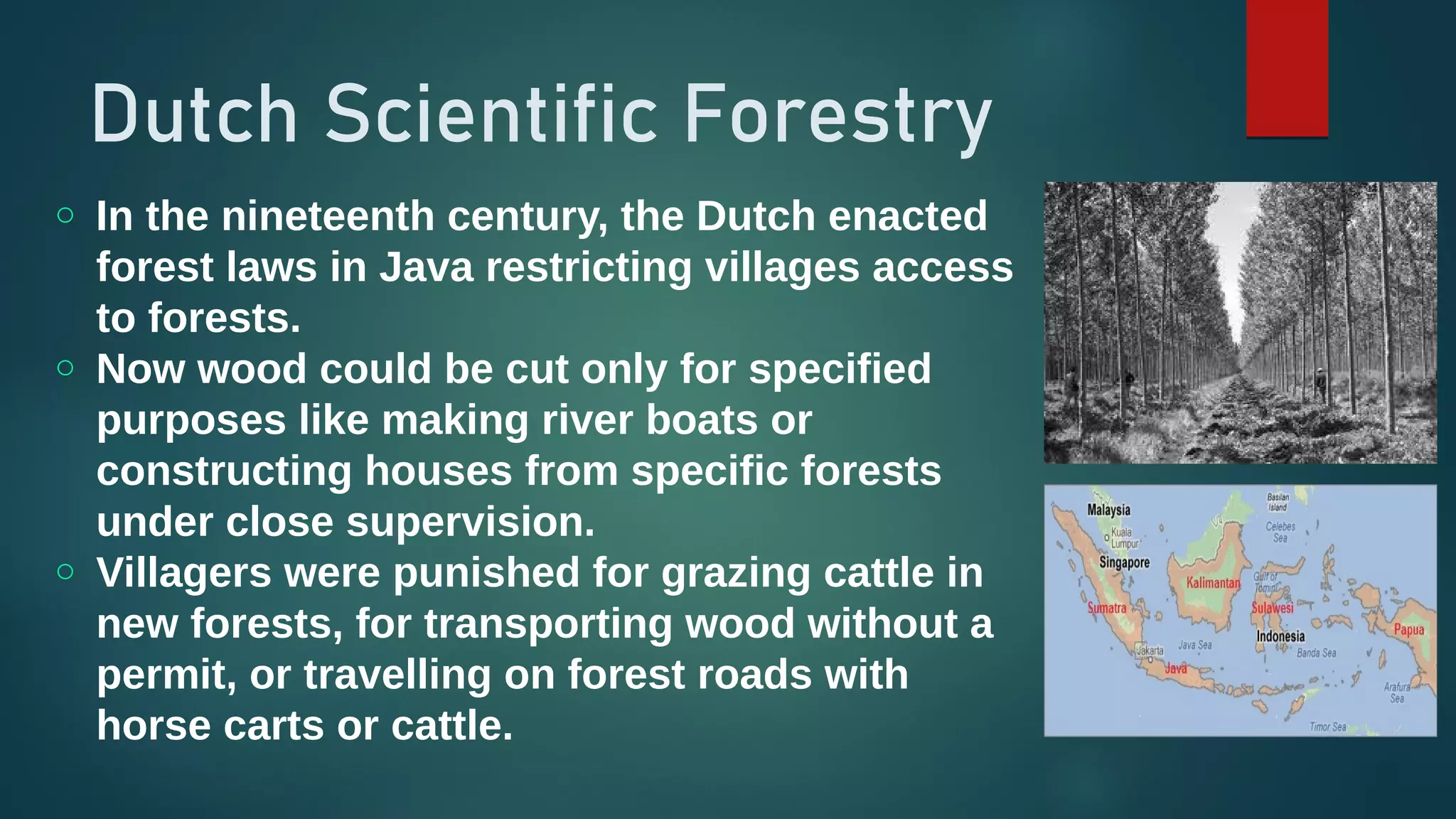 Dutch Scientific Forestry
o In the nineteenth century, the Dutch enacted
forest laws in Java restricting villages access
to forests.
o Now wood could be cut only for specified
purposes like making river boats or
constructing houses from specific forests
under close supervision.
o Villagers were punished for grazing cattle in
new forests, for transporting wood without a
permit, or travelling on forest roads with
horse carts or cattle.
 