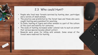 2.3 Who could Hunt?
• People who lived near forests survived by hunting deer, partridges
and a variety of small animals.
• The practice was prohibited by the forest laws and those who were
caught hunting were punished for poaching.
• In India, hunting of tigers and other animals is a part of the culture
of the court and nobility for centuries.
• The scale of hunting increased under colonial rule to such an extent
that various species became almost extinct.
• Rewards were given for killing wild animals. Some areas of the
forest were reserved for hunting.
 