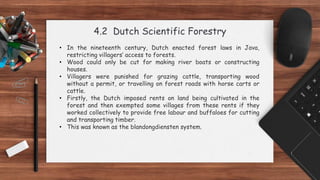 4.2 Dutch Scientific Forestry
• In the nineteenth century, Dutch enacted forest laws in Java,
restricting villagers’ access to forests.
• Wood could only be cut for making river boats or constructing
houses.
• Villagers were punished for grazing cattle, transporting wood
without a permit, or travelling on forest roads with horse carts or
cattle.
• Firstly, the Dutch imposed rents on land being cultivated in the
forest and then exempted some villages from these rents if they
worked collectively to provide free labour and buffaloes for cutting
and transporting timber.
• This was known as the blandongdiensten system.
 