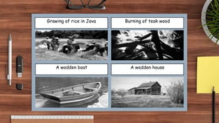 Grawing of rice in Java Burning of teak wood
A wodden house
A wodden boat
 