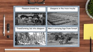 Sleepers in the train tracks
Men's carrying logs from forest
Transforming Sal into sleepers
Pleasure brand tea
 