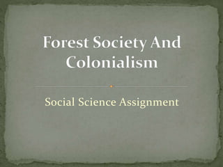 Social Science Assignment
 