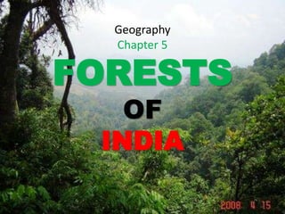 Geography
Chapter 5
FORESTS
OF
INDIA
 