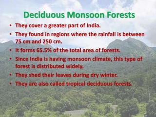 Deciduous Monsoon Forests
• They cover a greater part of India.
• They found in regions where the rainfall is between
75 cm and 250 cm.
• It forms 65.5% of the total area of forests.
• Since India is having monsoon climate, this type of
forest is distributed widely.
• They shed their leaves during dry winter.
• They are also called tropical deciduous forests.
 