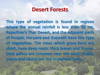 Desert Forests
This type of vegetation is found in regions
where the annual rainfall is less than 50 cm,
Rajasthan’s Thar Desert, and the adjacent parts
of Punjab, Haryana and Gujarath have this type
of vegetation. The trees which grow here are
short, have deep roots, thick leaves and thorns.
Date palms are common near the oasis. Babul,
palms and cactus are the important trees.
 