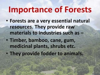 Importance of Forests
• Forests are a very essential natural
resources. They provide raw
materials to industries such as –
• Timber, bamboo, cane, gum,
medicinal plants, shrubs etc.
• They provide fodder to animals.
 