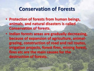 Conservation of Forests
• Protection of forests from human beings,
animals, and natural disasters is called
Conservation of forests.
• Indian forests areas are gradually decreasing,
because of expansion of agriculture, animal-
grazing, construction of road and rail routes,
irrigation projects, forest fires, mining forest,
fires etc are the main causes for the
destruction of forests.
 