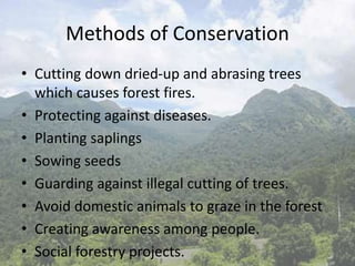 Methods of Conservation
• Cutting down dried-up and abrasing trees
which causes forest fires.
• Protecting against diseases.
• Planting saplings
• Sowing seeds
• Guarding against illegal cutting of trees.
• Avoid domestic animals to graze in the forest
• Creating awareness among people.
• Social forestry projects.
 