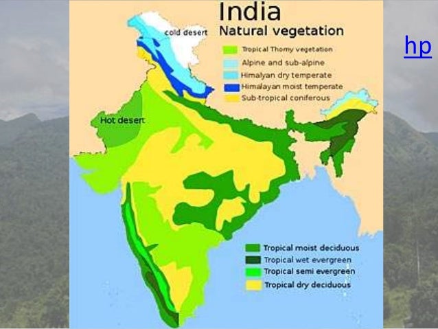 Forests of India