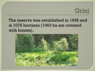 The reserve was established in 1936 and
is 1076 hectares (1063 ha are covered
with forests).
 