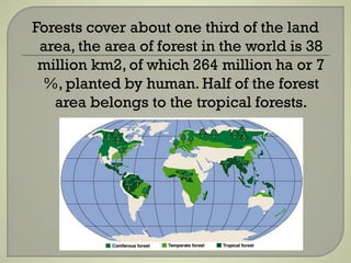 Forests cover about one third of the land
area, the area of forest in the world is 38
million km2, of which 264 million ha or 7
%, planted by human. Half of the forest
area belongs to the tropical forests.
 