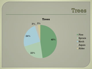 48%
22%
24%
3% 3%
Trees
Pine
Spruce
Birch
Aspen
Alder
 