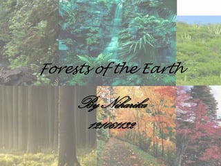 Forests of the Earth
By Niharika
121061132
 