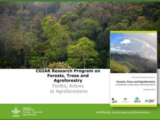 Forêts, Arbres
et Agroforesterie
CGIAR Research Program on
Forests, Trees and
Agroforestry
 