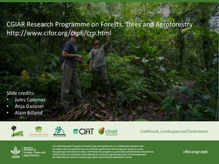 ForestsTreesAgroforestry - Presentation from the 2013 Annual Meeting between CGIAR and the French Research Institutions