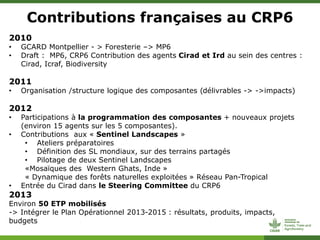 ForestsTreesAgroforestry - Presentation from the 2013 Annual Meeting between CGIAR and the French Research Institutions