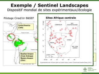 ForestsTreesAgroforestry - Presentation from the 2013 Annual Meeting between CGIAR and the French Research Institutions