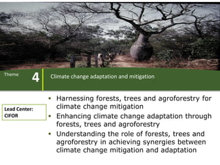 ForestsTreesAgroforestry – Presentation for Discussion with Donors and Partners – June 2013