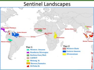 ForestsTreesAgroforestry – Presentation for Discussion with Donors and Partners – June 2013