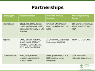 ForestsTreesAgroforestry – Presentation for Discussion with Donors and Partners – June 2013