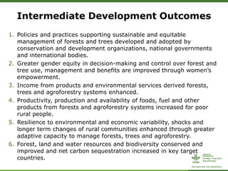 ForestsTreesAgroforestry – Presentation for Discussion with Donors and Partners – June 2013