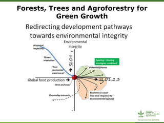 ForestsTreesAgroforestry – Presentation for Discussion with Donors and Partners – June 2013