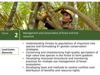 ForestsTreesAgroforestry – Presentation for Discussion with Donors and Partners – June 2013