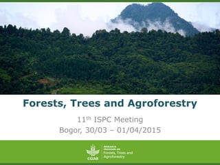 Forests, Trees and Agroforestry
11th ISPC Meeting
Bogor, 30/03 – 01/04/2015
 