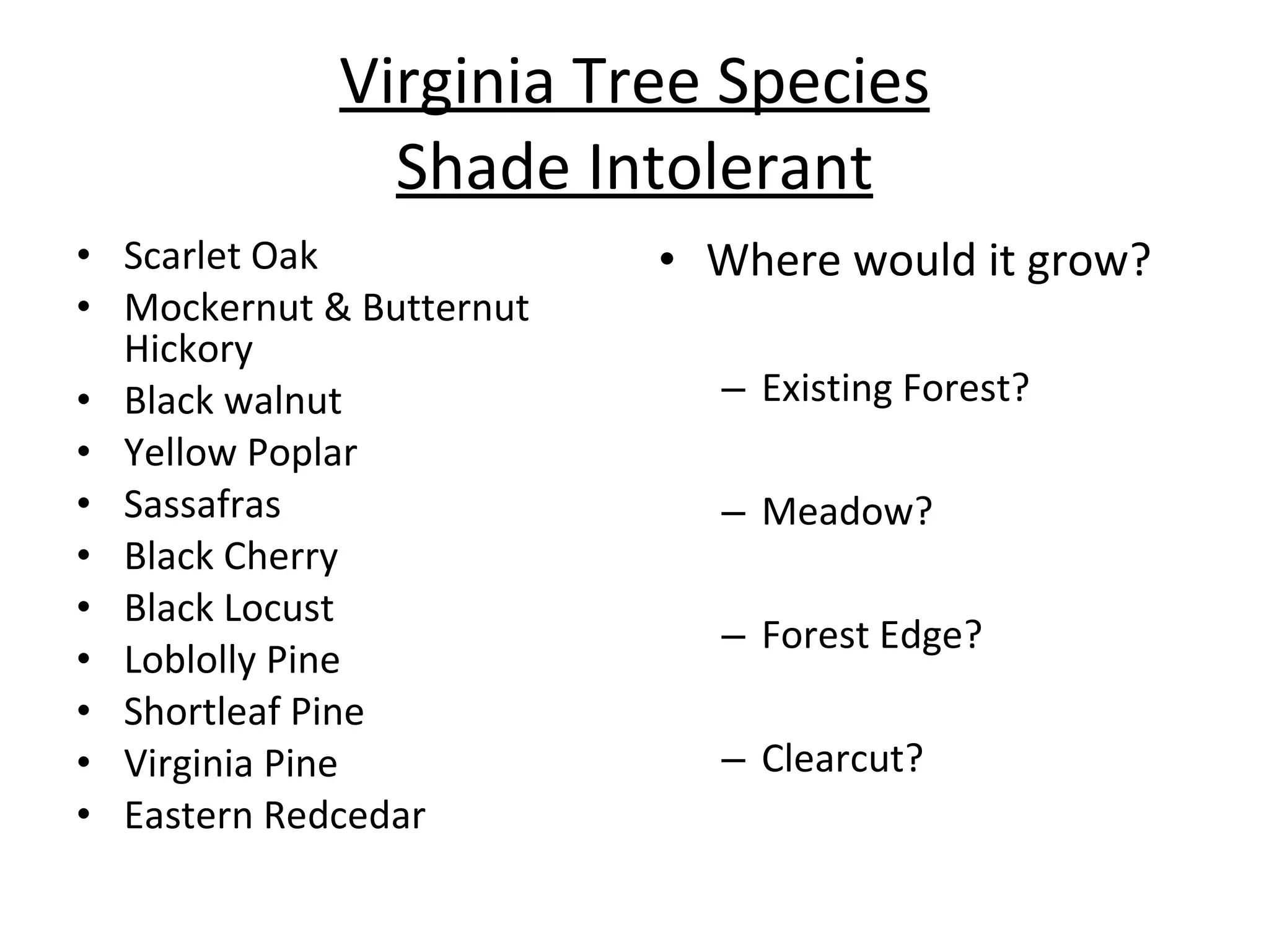 Virginia Tree Species Shade Intolerant Scarlet Oak Mockernut & Butternut Hickory Black walnut Yellow Poplar Sassafras Black Cherry Black Locust Loblolly Pine Shortleaf Pine Virginia Pine Eastern Redcedar Where would it grow? Existing Forest? Meadow? Forest Edge? Clearcut? 