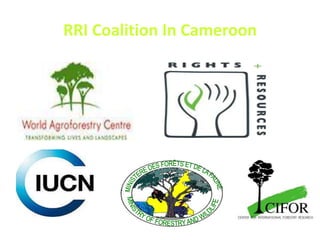 MINISTERE DES FORÊTS ET DE LA FAUNE MINISTRY OF FORESTRY AND WILDLIFE RRI Coalition In Cameroon 