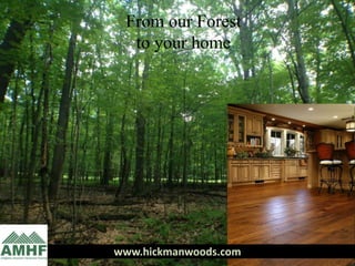 From our Forest
  to your home




www.hickmanwoods.com
 