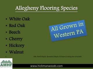 Allegheny Flooring Species
• White Oak
• Red Oak
• Beech
• Cherry
• Hickory
• Walnut
• Ash, Hard Maple, Spaulded Maple, & Aspen Ceiling also available
www.hickmanwoods.com
 
