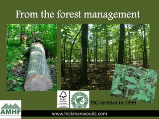 From the forest management
www.hickmanwoods.com
FSC certified in 1999
 
