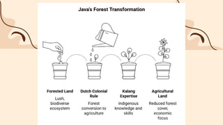 Forest Transformation in Java: Colonial Impact and Community Resistance ...