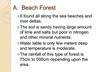 A. Beach Forest
It found all along the sea beaches and
river deltas.
The soil is sandy having large amount
of lime and salts but poor in nitrogen
and other mineral nutrients.
Water table is only few meters deep
and temperature is moderate.
The rainfall of this type of forest is
75cm to 500cm depending upon the
area.
 