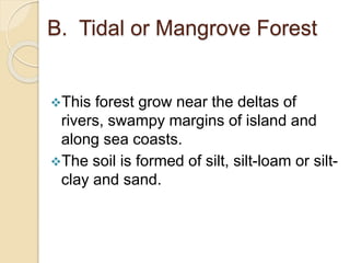 B. Tidal or Mangrove Forest
This forest grow near the deltas of
rivers, swampy margins of island and
along sea coasts.
The soil is formed of silt, silt-loam or silt-
clay and sand.
 