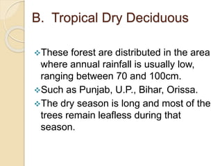 B. Tropical Dry Deciduous
These forest are distributed in the area
where annual rainfall is usually low,
ranging between 70 and 100cm.
Such as Punjab, U.P., Bihar, Orissa.
The dry season is long and most of the
trees remain leafless during that
season.
 