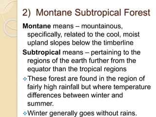 2) Montane Subtropical Forest
Montane means – mountainous,
specifically, related to the cool, moist
upland slopes below the timberline
Subtropical means – pertaining to the
regions of the earth further from the
equator than the tropical regions
These forest are found in the region of
fairly high rainfall but where temperature
differences between winter and
summer.
Winter generally goes without rains.
 