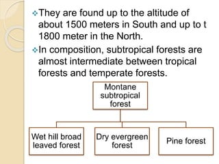 They are found up to the altitude of
about 1500 meters in South and up to t
1800 meter in the North.
In composition, subtropical forests are
almost intermediate between tropical
forests and temperate forests.
Montane
subtropical
forest
Wet hill broad
leaved forest
Dry evergreen
forest
Pine forest
 