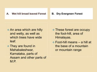 A. Wet hill broad leaved Forest B. Dry Evergreen Forest
 An area which are hilly
and wetty, as well as
which trees have wide
leaf.
 They are found in
Mahabaleshwar,
Karnataka, parts of
Assam and other parts of
M.P.
 These forest are occupy
the foot-hill, area of
Himalayas.
 Foot-hill means – a hill at
the base of a mountain
or mountain range
 