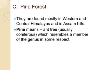 C. Pine Forest
They are found mostly in Western and
Central Himalayas and in Assam hills.
Pine means – ant tree (usually
coniferous) which resembles a member
of the genus in some respect.
 