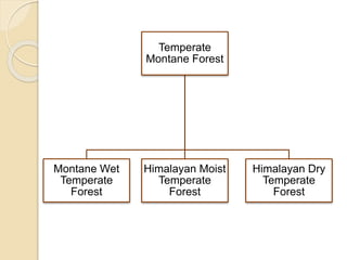 Temperate
Montane Forest
Montane Wet
Temperate
Forest
Himalayan Moist
Temperate
Forest
Himalayan Dry
Temperate
Forest
 