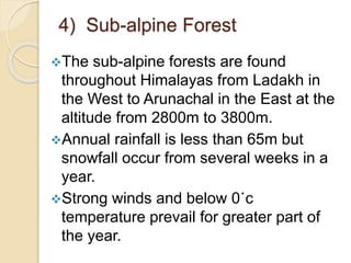 4) Sub-alpine Forest
The sub-alpine forests are found
throughout Himalayas from Ladakh in
the West to Arunachal in the East at the
altitude from 2800m to 3800m.
Annual rainfall is less than 65m but
snowfall occur from several weeks in a
year.
Strong winds and below 0˙c
temperature prevail for greater part of
the year.
 
