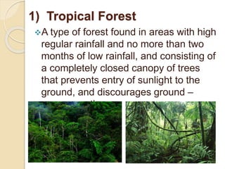 1) Tropical Forest
A type of forest found in areas with high
regular rainfall and no more than two
months of low rainfall, and consisting of
a completely closed canopy of trees
that prevents entry of sunlight to the
ground, and discourages ground –
cover growth.
 