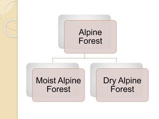 Alpine
Forest
Moist Alpine
Forest
Dry Alpine
Forest
 