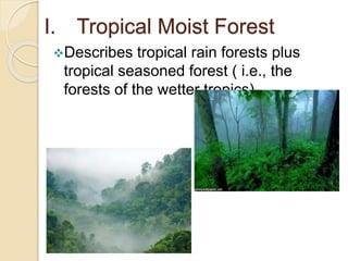 I. Tropical Moist Forest
Describes tropical rain forests plus
tropical seasoned forest ( i.e., the
forests of the wetter tropics)
 